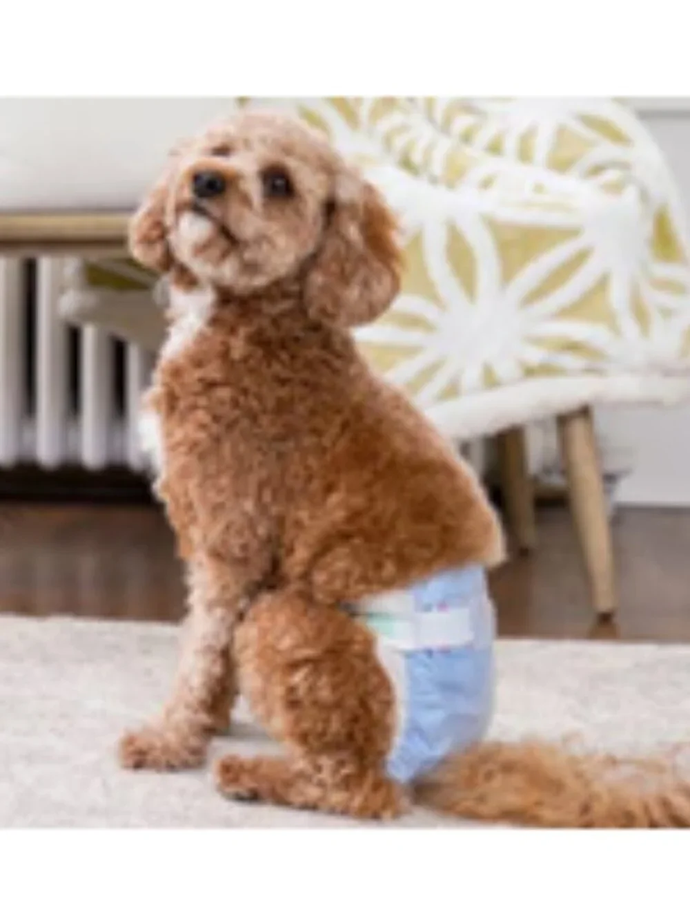 NWT Hartz Comfitables Male & Female Dog Diapers, Large 18